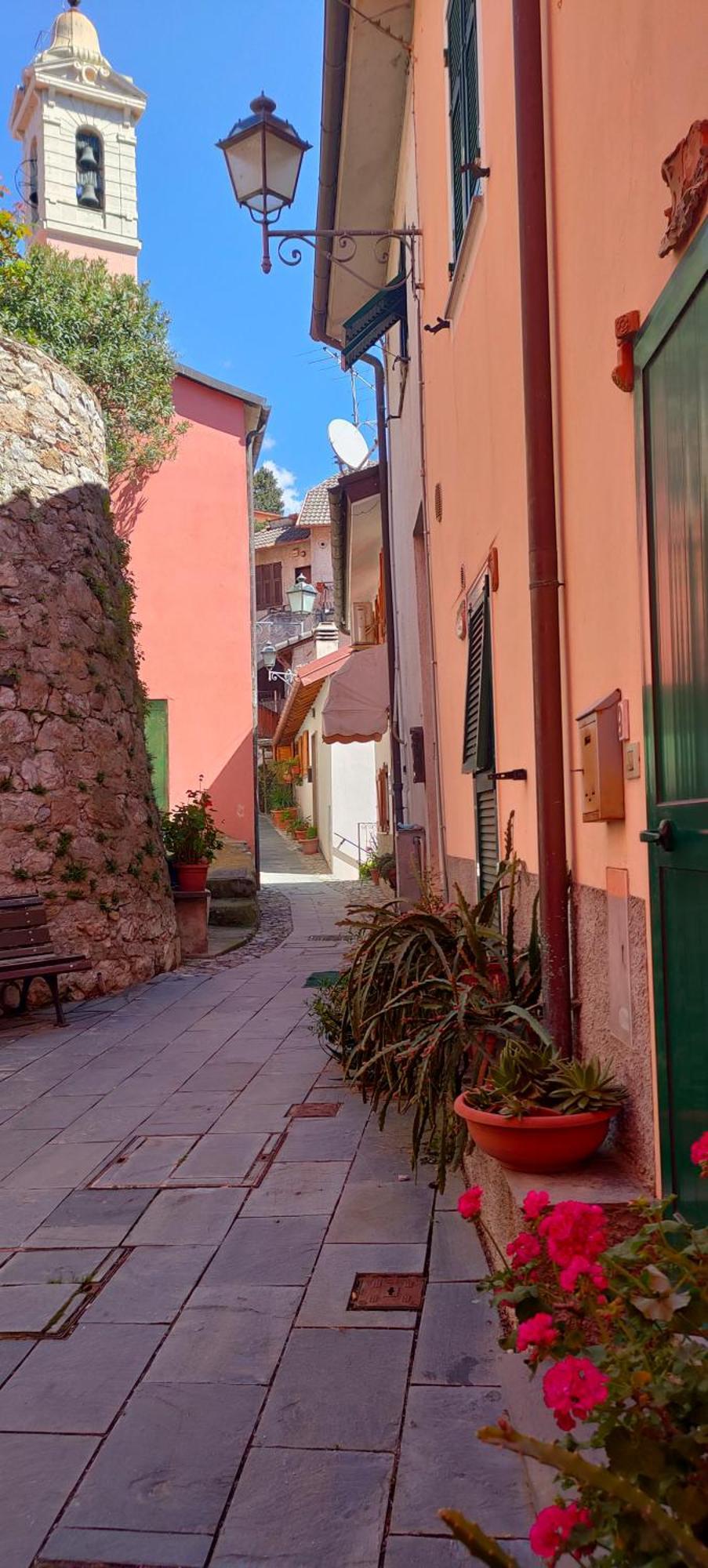 Camera Tra Le Cinque Terre, Camogli E Portofino. Vista Valle E Scorcio Mare All'Orizzonte 카스티글리오네 키아바레세 외부 사진