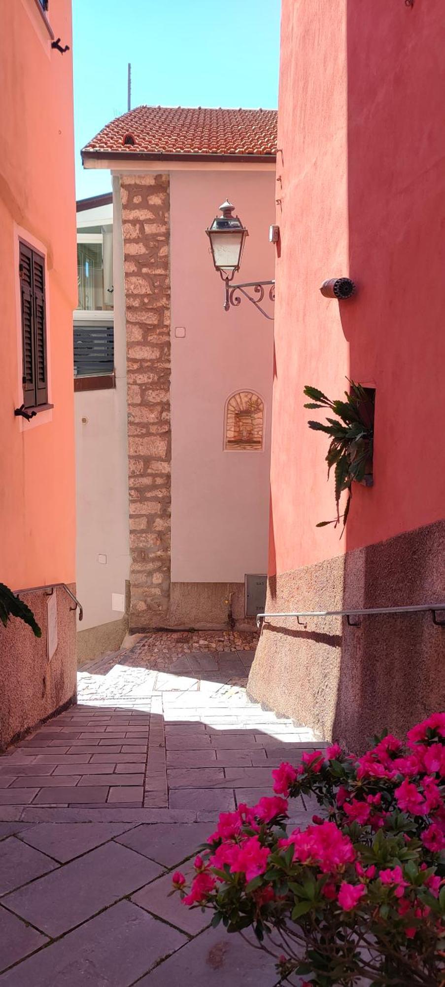 Camera Tra Le Cinque Terre, Camogli E Portofino. Vista Valle E Scorcio Mare All'Orizzonte 카스티글리오네 키아바레세 외부 사진