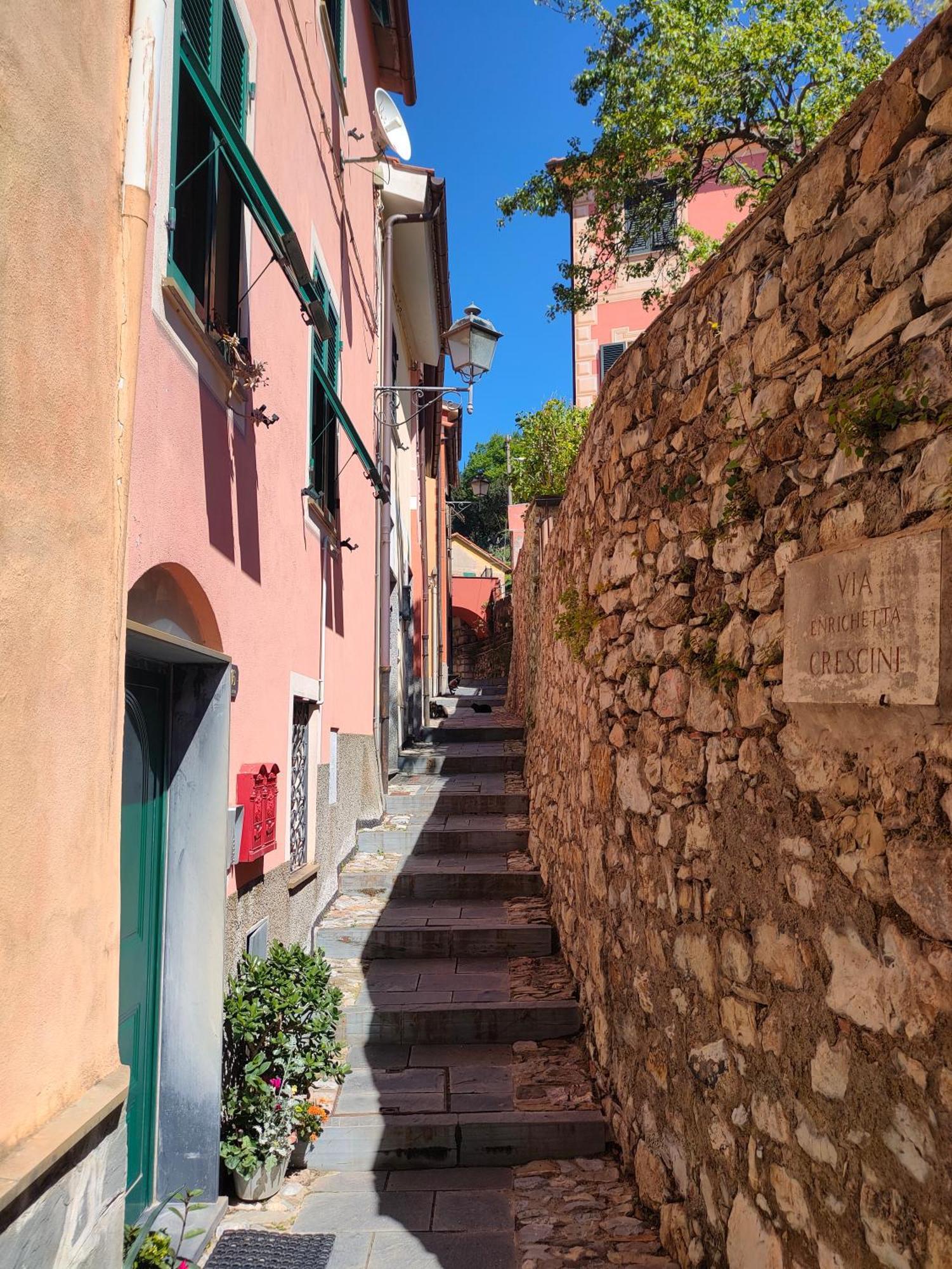 Camera Tra Le Cinque Terre, Camogli E Portofino. Vista Valle E Scorcio Mare All'Orizzonte 카스티글리오네 키아바레세 외부 사진