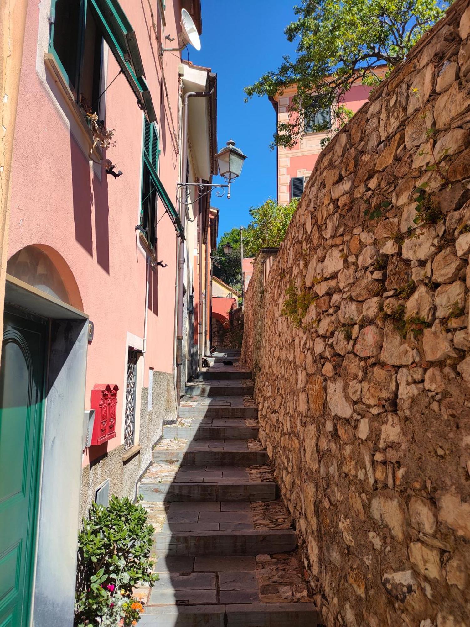 Camera Tra Le Cinque Terre, Camogli E Portofino. Vista Valle E Scorcio Mare All'Orizzonte 카스티글리오네 키아바레세 외부 사진